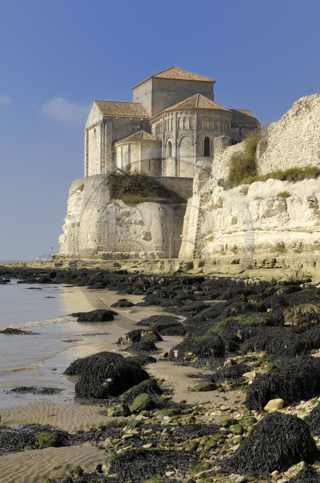 France, Charente-Maritime (17), Talmont-sur-Gironde, labelisé Les plus beaux Village de France, église Sainte-Radegonde
