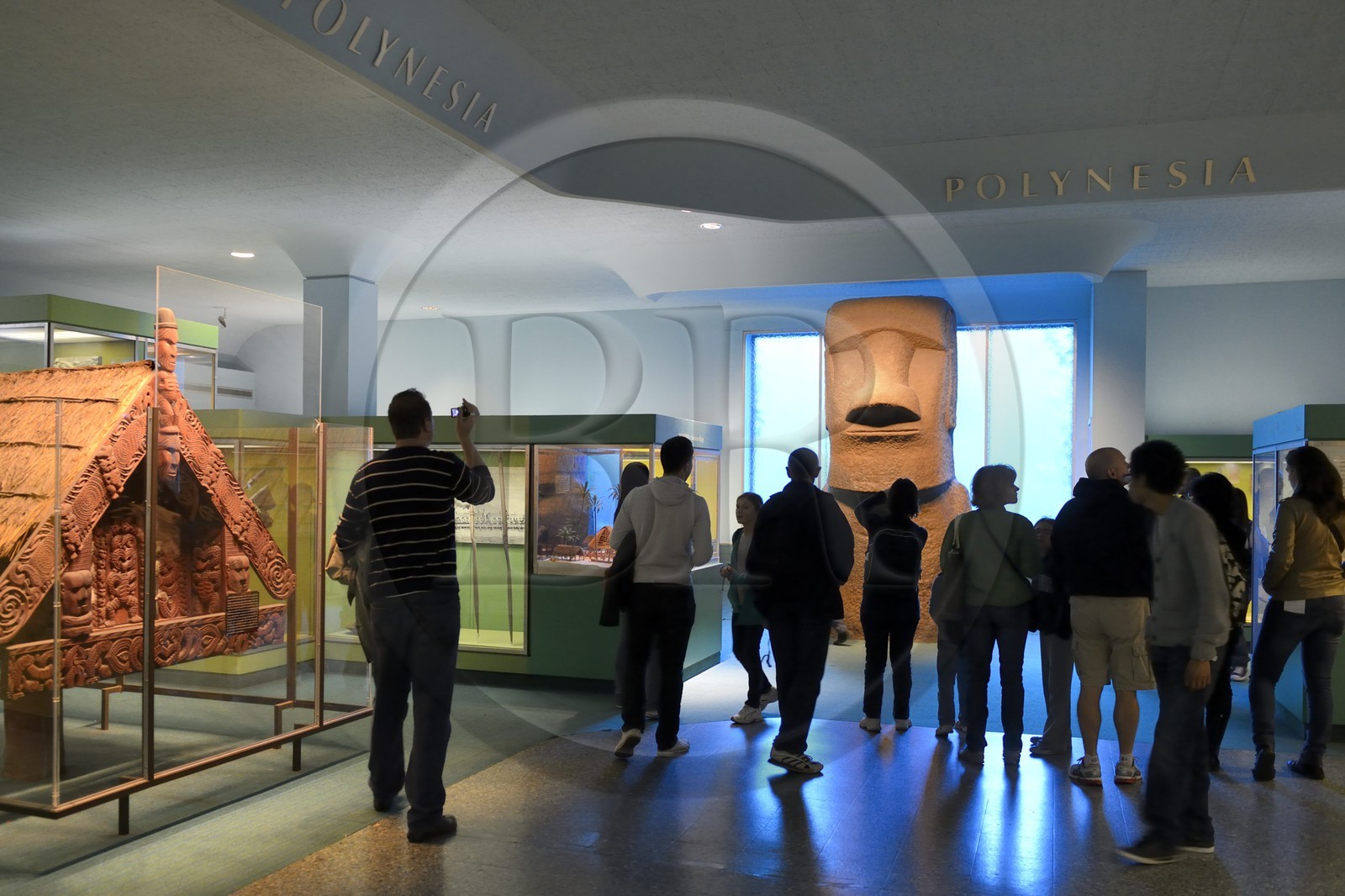 Etats-Unis, New York, Manhattan, Upper West Side, Musée Américain d'Histoire Naturelle (American Museum of Natural History), reproduction d'un Moaï statue de l'Ile de Paques