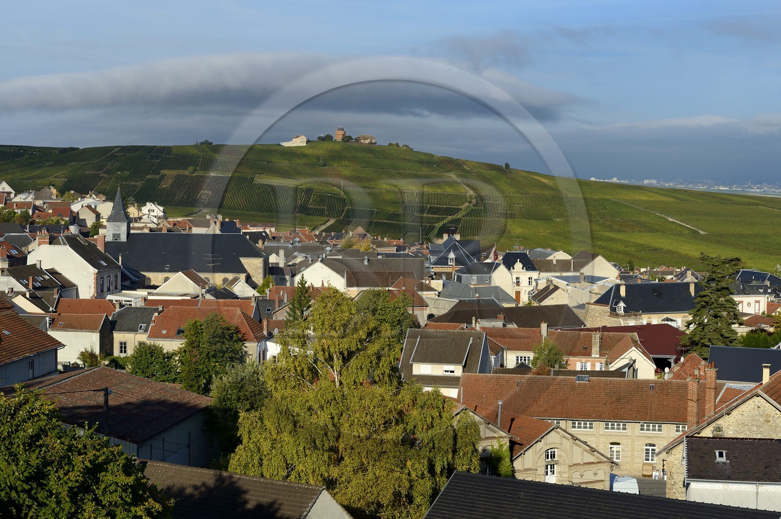 France, Marne (51), Parc Naturel Regional de la Montagne de Reims, Verzenay, vignobles de Champagne