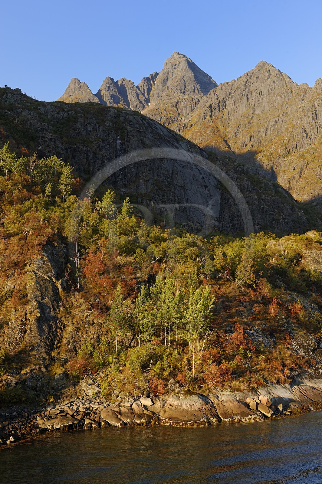 Norvège, Nordland, Iles Lofoten, le très etroit fjord Trollfjord en bordure du Raftsundet