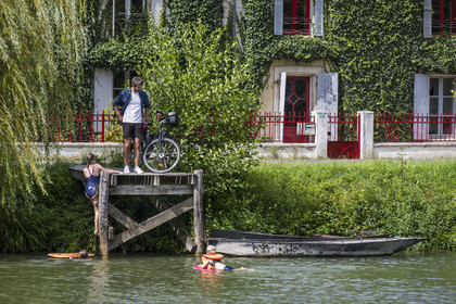 France, Deux-Sèvres (79), le Marais Poitevin, la Venise Verte, Le Mazeau, randonnée à bicyclette le long de la Sèvre Niortaise sur la voie cyclable de la Vélo Francette