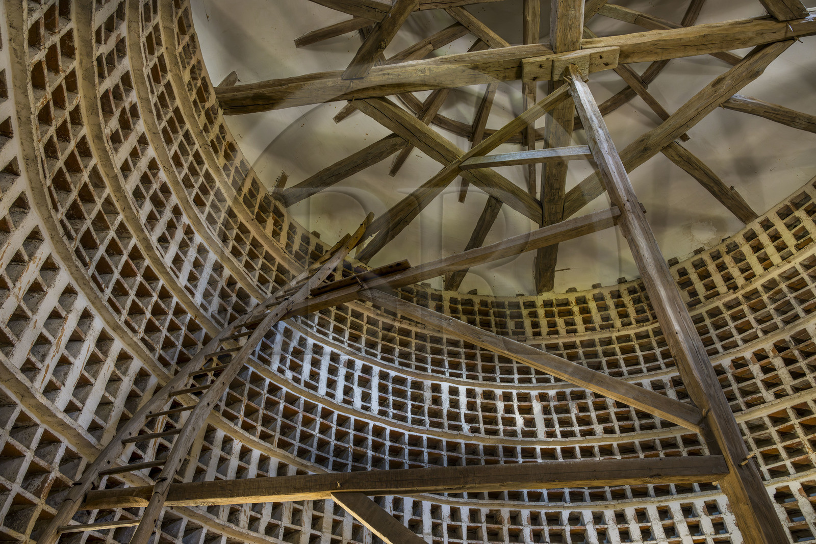 France, Côte-d'Or (21), Epoisses, le château d'Epoisses, colombier du XVIIe siècle, avec une échelle tournante et plus de 3000 boulins (niches)