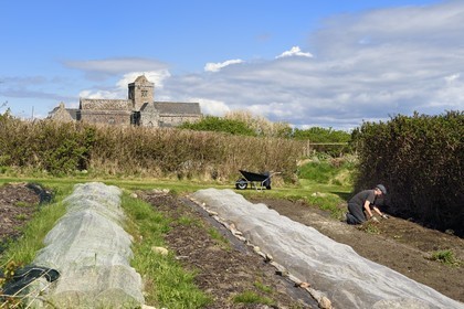 United Kingdom, Scotland, Highland, Inner Hebrides, Isle of Iona facing the Isle of Mull, Iona abbey founded by Saint Columba in the 6th century and the Argyll Hotel organic garden in the foreground
