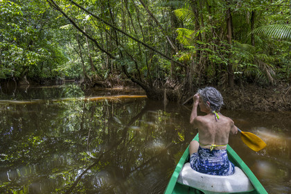 France, French Guiana, Kourou, Maripas camp in the rainforest, canoe trip to discover a crique (creek), a small river, tributary of the Kourou River