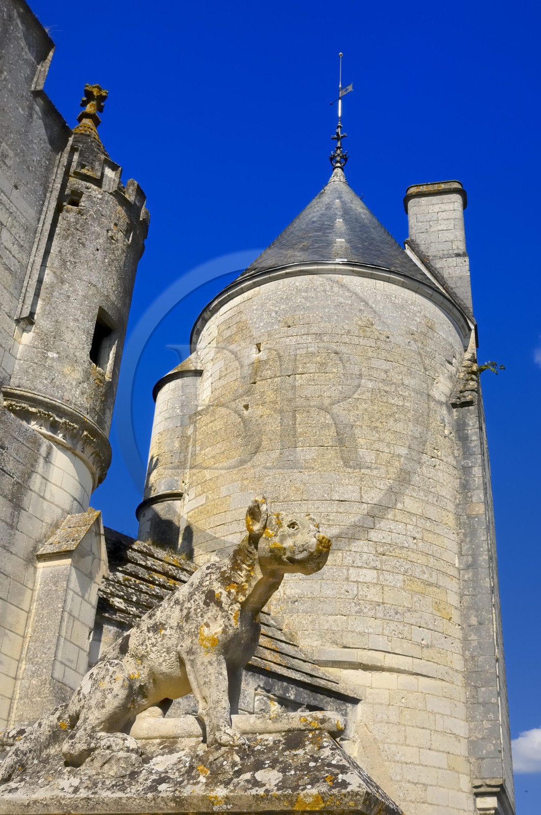 France, Indre et Loire, Loches, the Royal Palace, dog statue on the staircase of the Royal Lodge