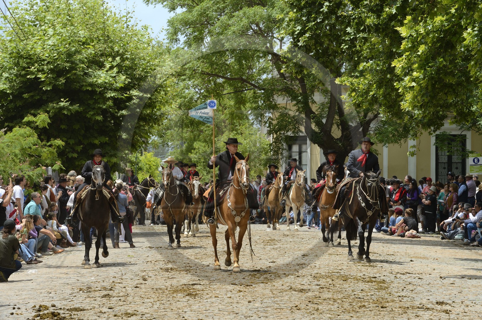 Argentina, Buenos Aires Province, San Antonio de Areco, Tradition Day festival (Dia de Tradicion), gauchos on horseback in traditional dress during the parade