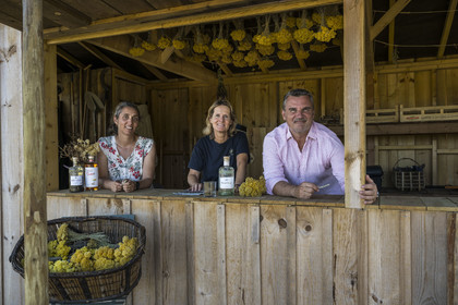 France, Charente Maritime, Oleron island, Saint Georges d'Oléron, agronomist Ethel Gauthier on the left with Anne-Cécile and Christophe Amigorena, the creators of Melifera Gin under everlasting flower (helichrysum stoechas) drying