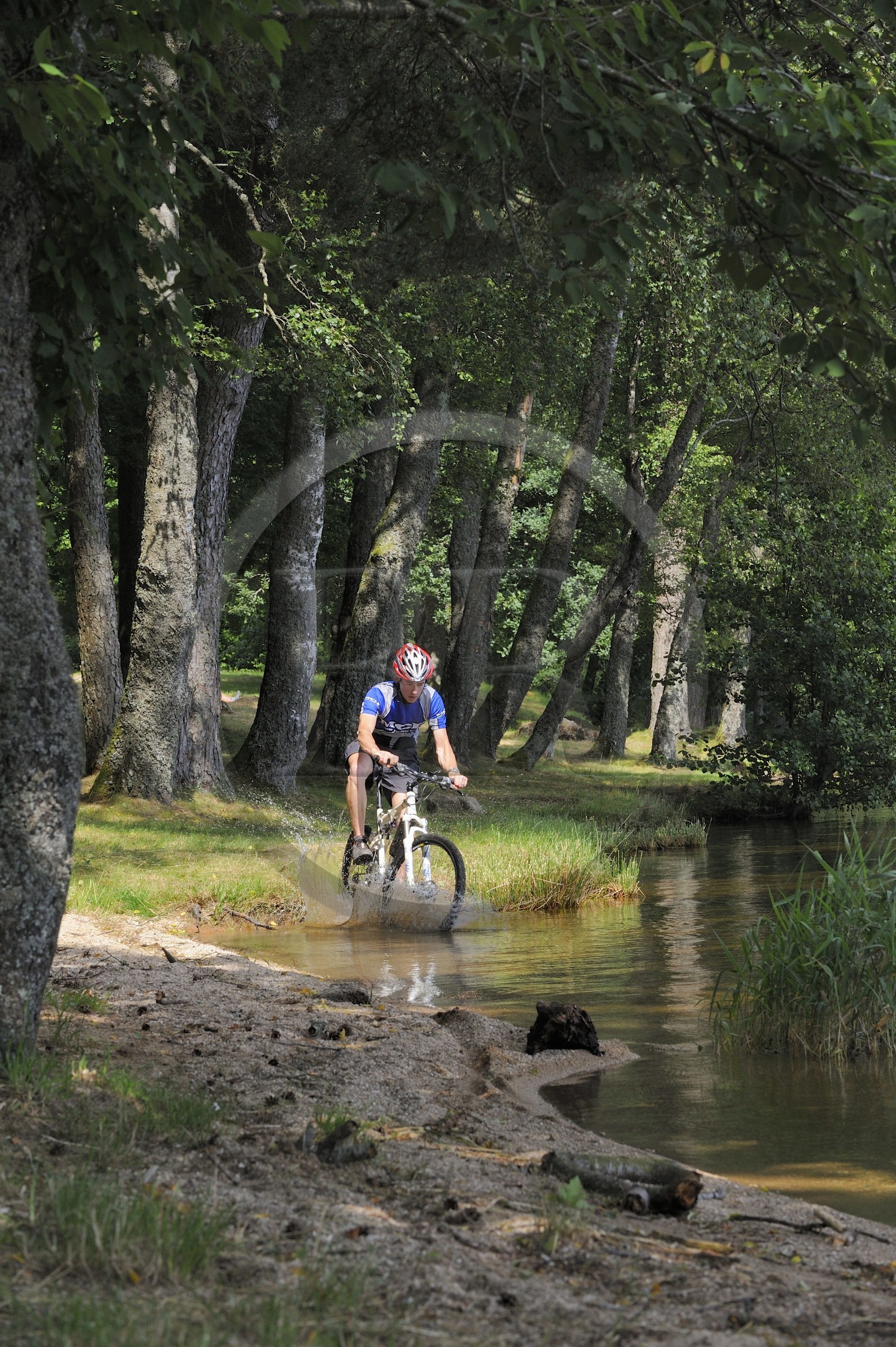 France, Nièvre (58), lac des Settons, découverte à vélo