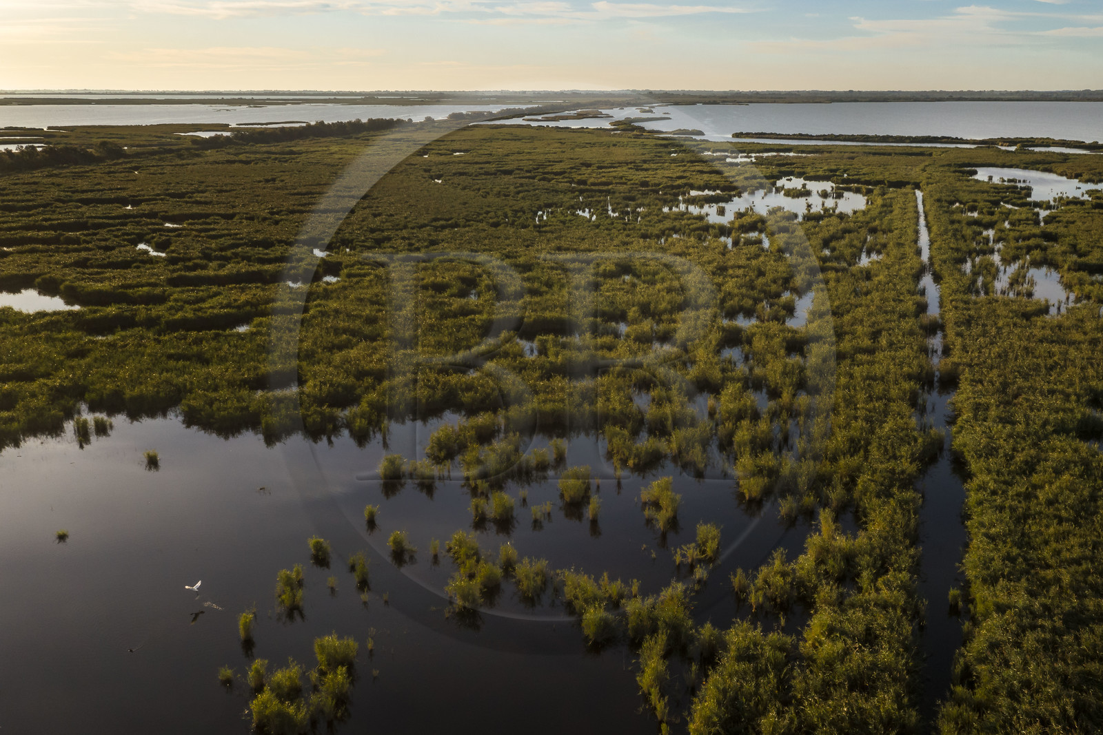 France, Gard (30), les marais de la Petite Camargue à Gallician commune de Vauvert (vue aérienne)