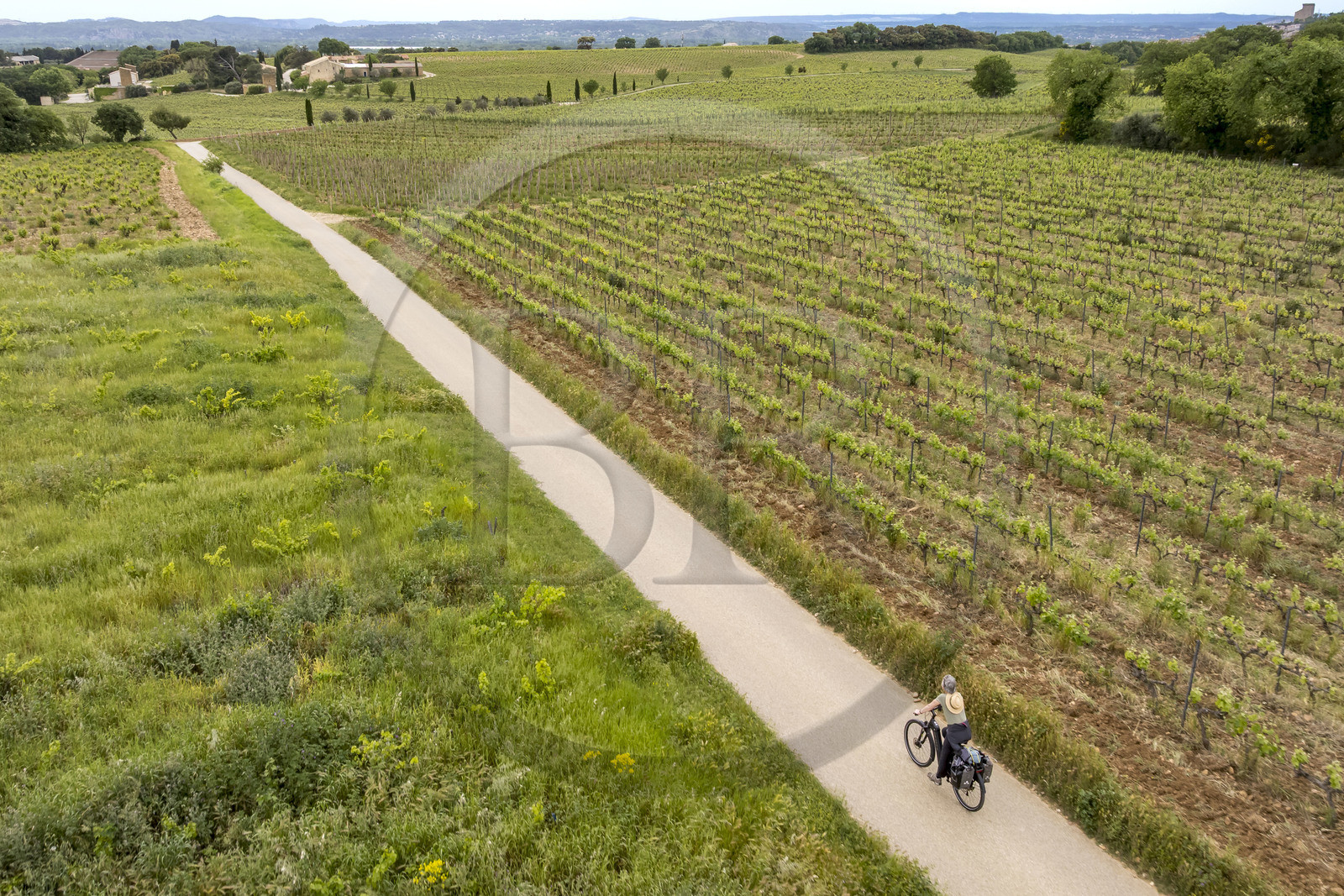 France, Vaucluse (84), Châteauneuf-du-Pape, randonnée à vélo sur le chemin Coste Froide sur le plateau de la Crau vers le Domaine de La Solitude (vue aérienne)