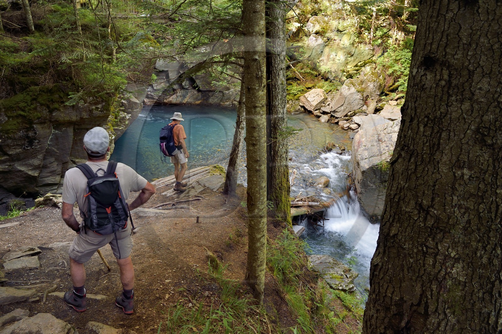 France, Hautes-Pyrénées (65), Saint-Lary-Soulan, vallée du Rioumajou, la (rivière) Neste de Rioumajou