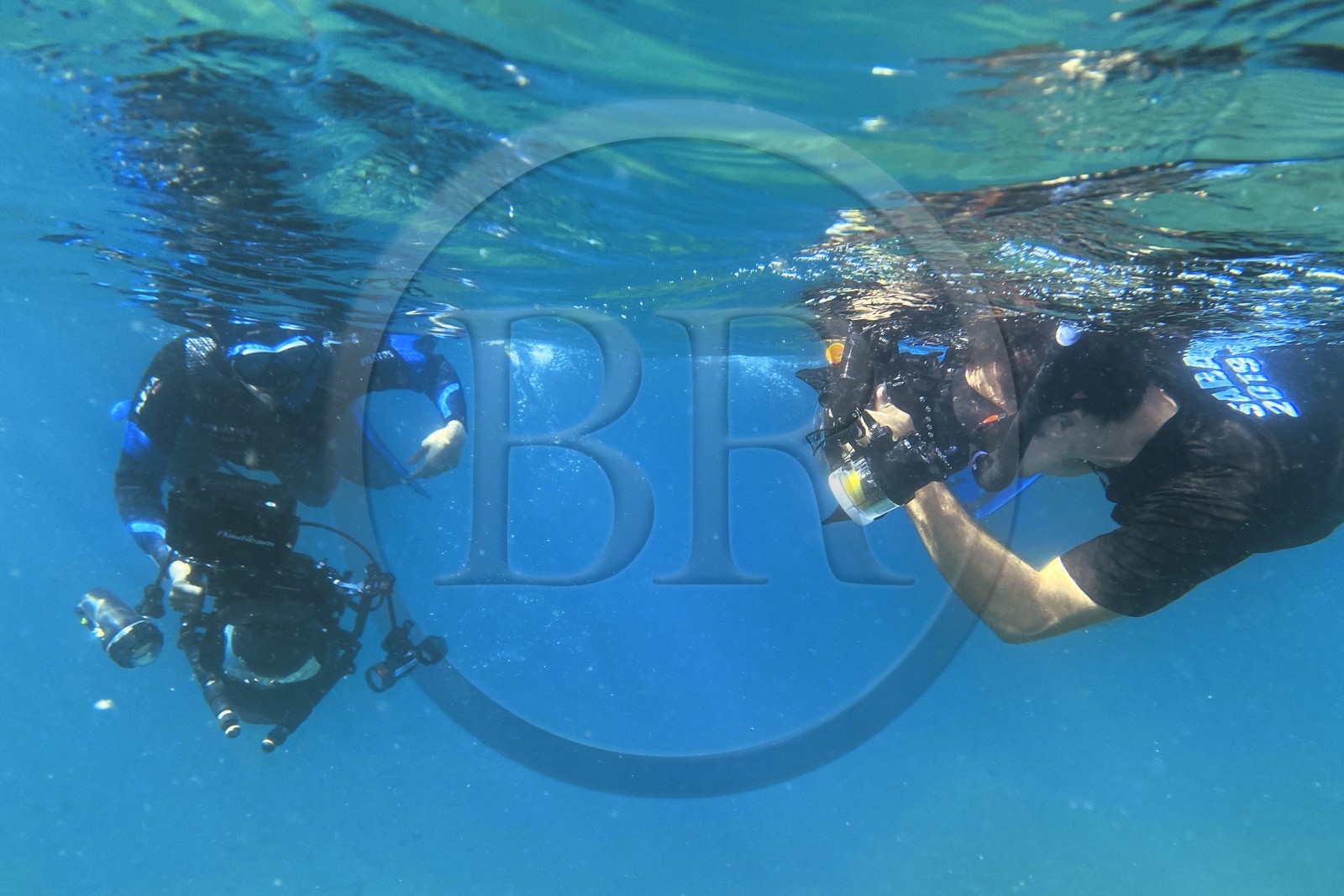 Sultanate of Oman, Governorate of Muscat, Nature Reserve of the Daymaniyat Islands, the photographer-diver Maisa Al Hooti with diver photographer and filmmaker Darryl MacDonald