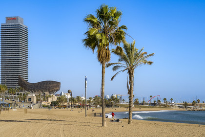 Spain, Catalonia, Barcelona, La Barceloneta, the beach and The Fish (El Peix) (1992) monumental steel sculpture by Frank Gehry in the background
