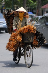 Vietnam, Hanoi, feather dusters seller on bicycle