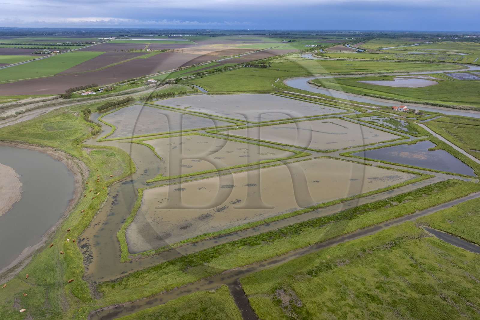 France, Charente-Maritime (17), Parc Interrégional du Marais Poitevin labellisé Grand Site de France, Charron, le Marais de Landelène entre l'embouchure de la Sèvre Niortaise et le canal maritime de Marans à la mer (vue aérienne)