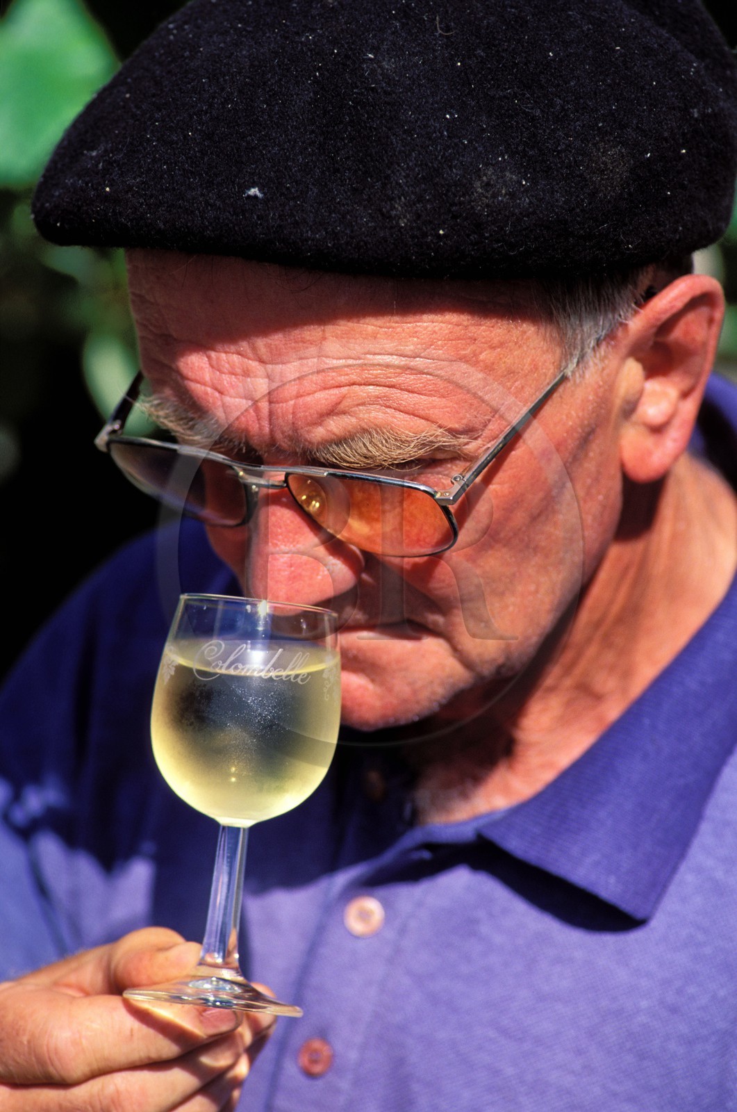 France, Gers (32), Saint-Mont, cave coopérative des producteurs de Paimont, dégustation de vin blanc primeur La Colombelle