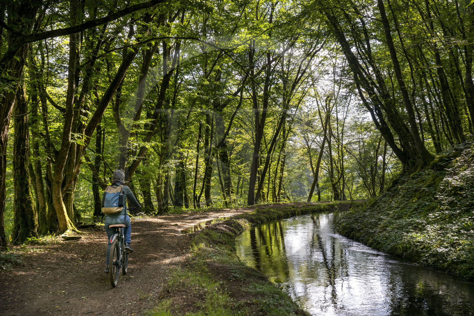 France, Nièvre (58), Parc naturel régional du Morvan, en amont de l'aqueduc de Montreuillon, cycliste sur le chemin bordant la Rigole d'Yonne qui puise les eaux de l'Yonne au lac de Pannecière et alimente le canal du Nivernais