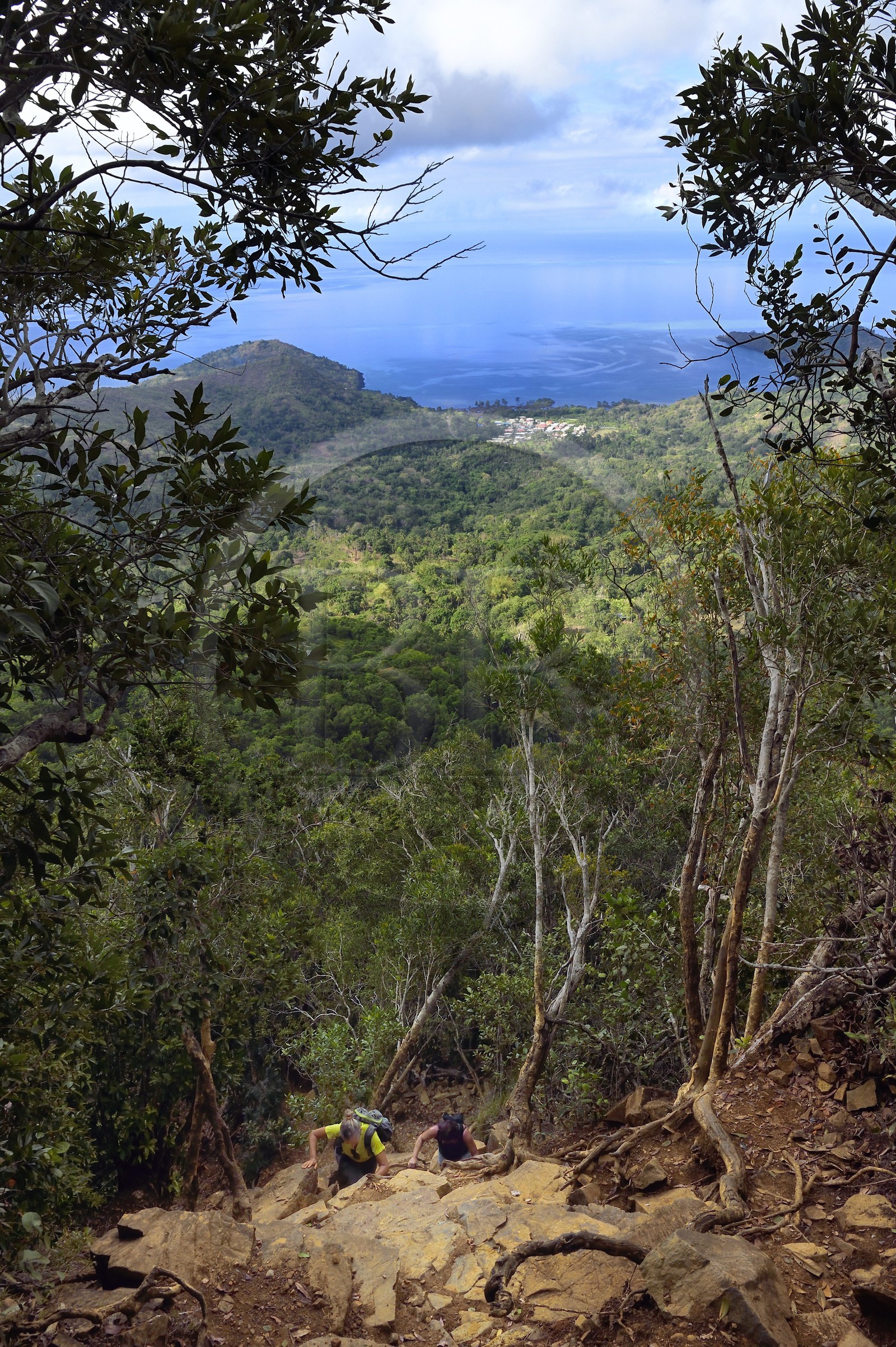 France, Ile de Mayotte, Grande-Terre, Réserve Forestière des Cretes du Sud, randonneurs montant au sommet du Mont Choungui (594 mètres)