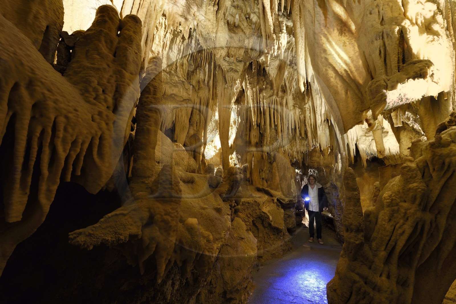 France, Dordogne (24), Périgord Vert, Villars, Grotte de Villars