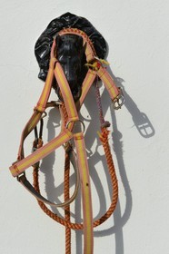 Spain, Andalusia, Seville Province, Utrera, the Ayala stud farm (Yeguada Ayala), Andalusian horse also known as the Pure Spanish Horse or PRE (Pura Raza Espanola)