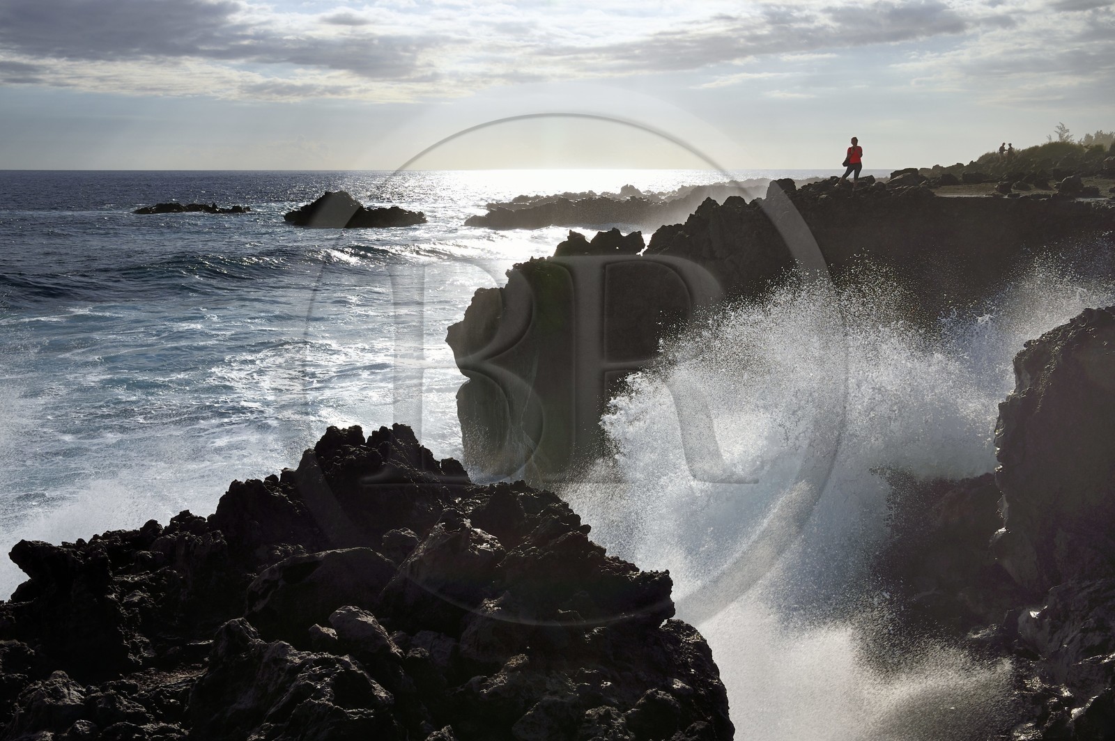 France, Reunion island (French overseas department), L'Etang Salé les Bains, the coast between Le Gouffre and the Etang du Gol (Gol Pond), black basaltic rocks of volcanic origin tormented by the ocean