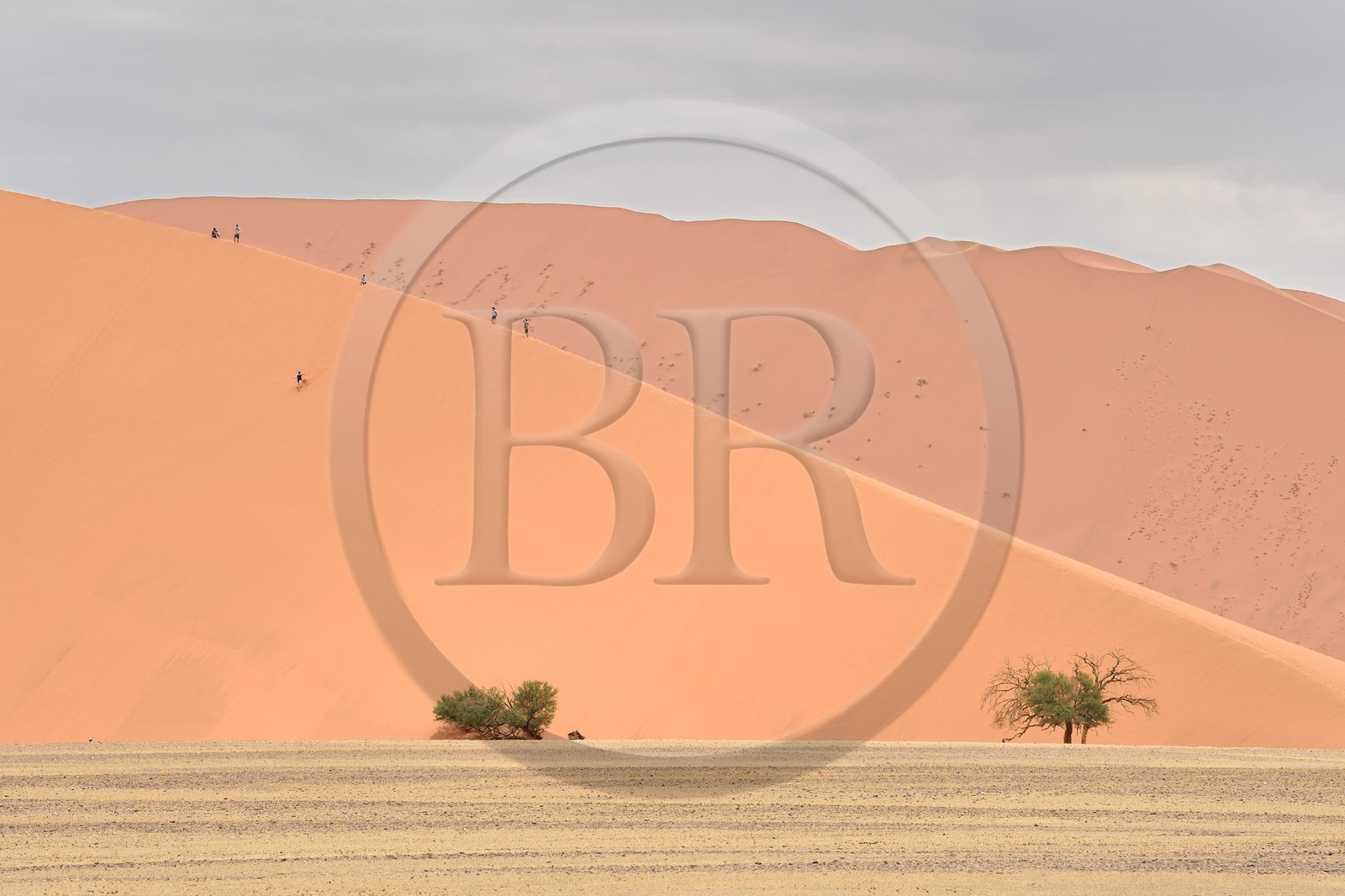 Namibie, région d'Hardap, désert du Namib, parc national du Namib-Naukluft, Erg du Namib classé Patrimoine Mondial de l'UNESCO, dunes de Sossusvlei, randonneurs sur la dune 45