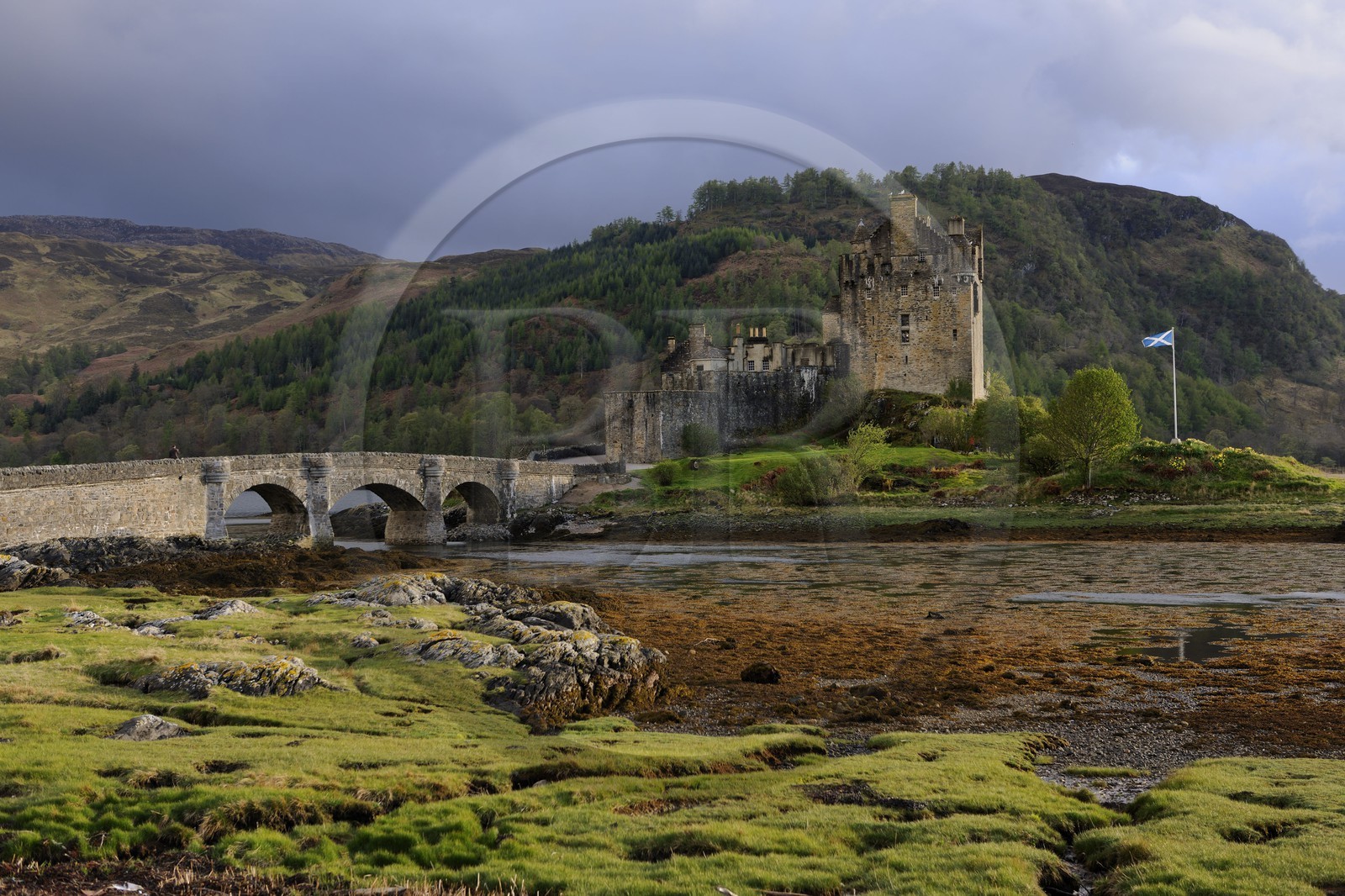 Royaume-Uni, Ecosse, région des Highlands, comté de Ross & Cromarty, Eilean Donan Castle, château à l'entrée du Loch Duich