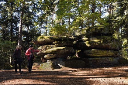France, Bas Rhin, Mont Saint Odile, hike along the Pagan Wall, sandstone rock (Beckenfels - Rock with ponds) in the vestige of a wall probably from the Merovingian period with a total length of eleven kilometers