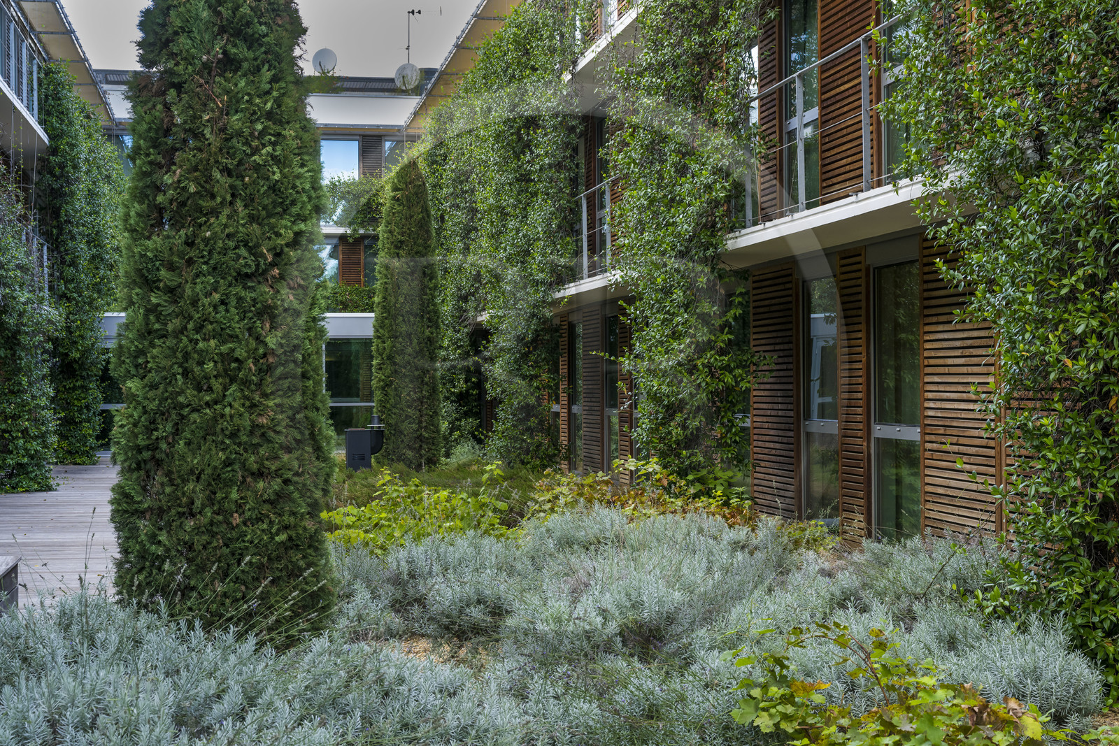 France, Hérault (34), Montpellier,  quartier de Port Marianne, Hotel Courtyard by Marriott à l'architecture contemporaine