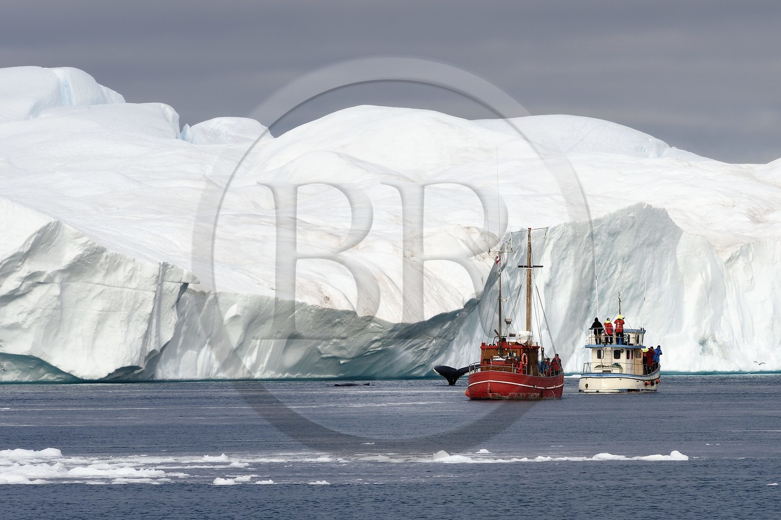 Groenland, cote ouest, baie de Disko, Ilulissat, fjord glacé classé Patrimoine Mondial de l'UNESCO qui est l’embouchure maritime du glacier Sermeq Kujalleq, ancien bateau de pêche reconverti pour la découverte des icebergs et l'observation des baleines à bosse ou rorquals à bosse (Megaptera novaeangliae)