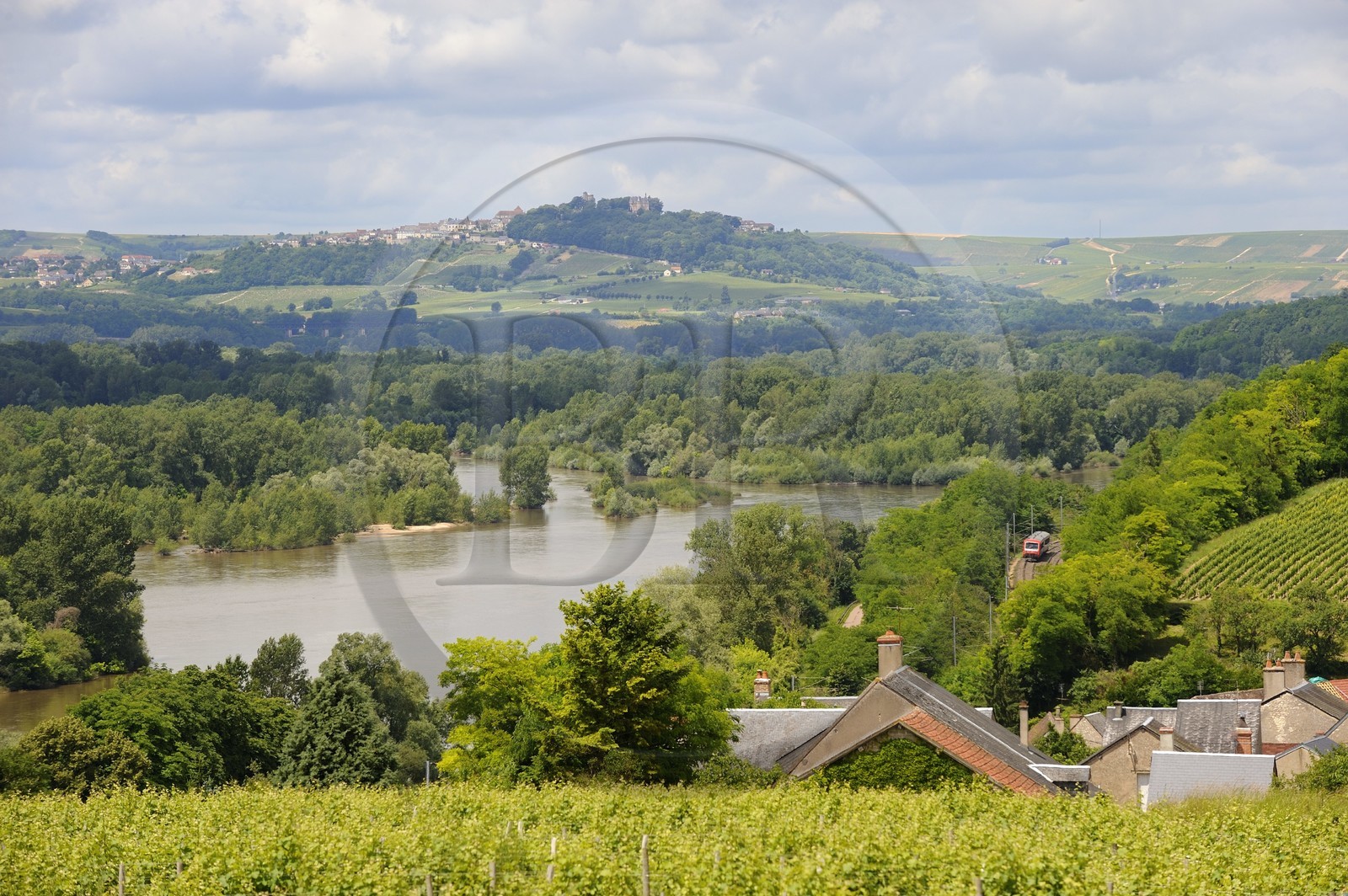 France, Nièvre (58), la Loire au village viticol des Loges vers Pouilly-sur-Loire, au fond le village de Sancerre