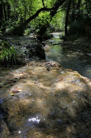 France, Var (83), Provence Verte, Tourves, rivière du Caramy dans les Gorges du Caramy