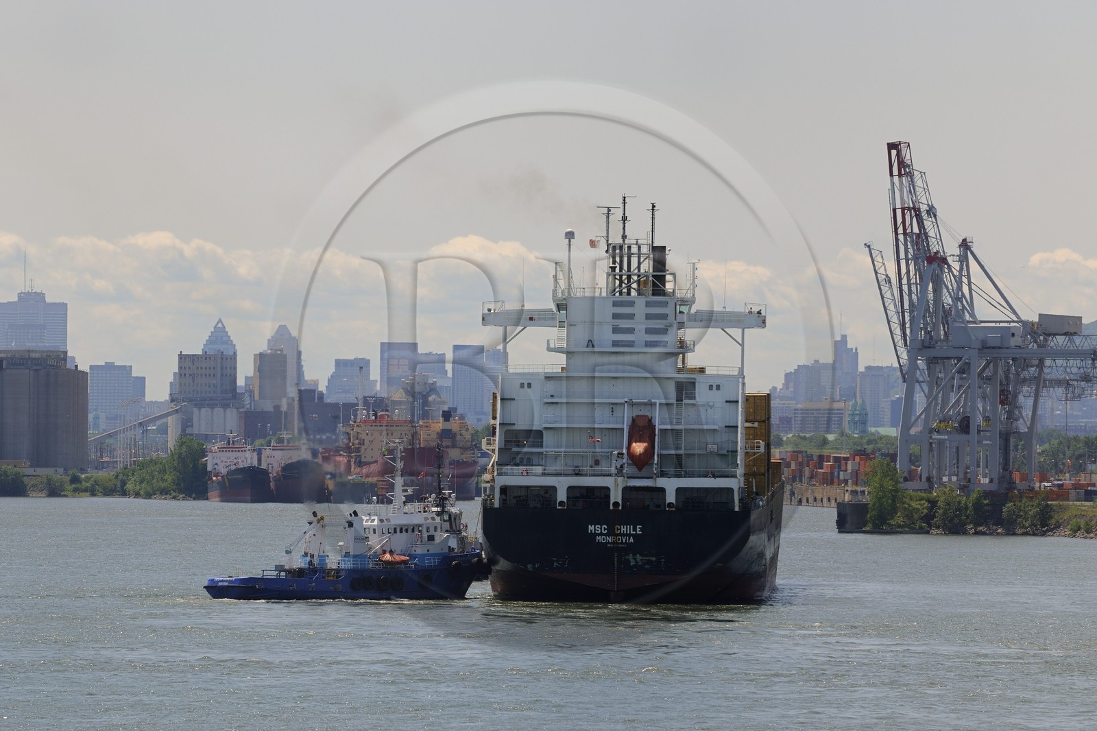 Canada, province de Québec, Montréal, le port de commerce sur le fleuve Saint-Laurent