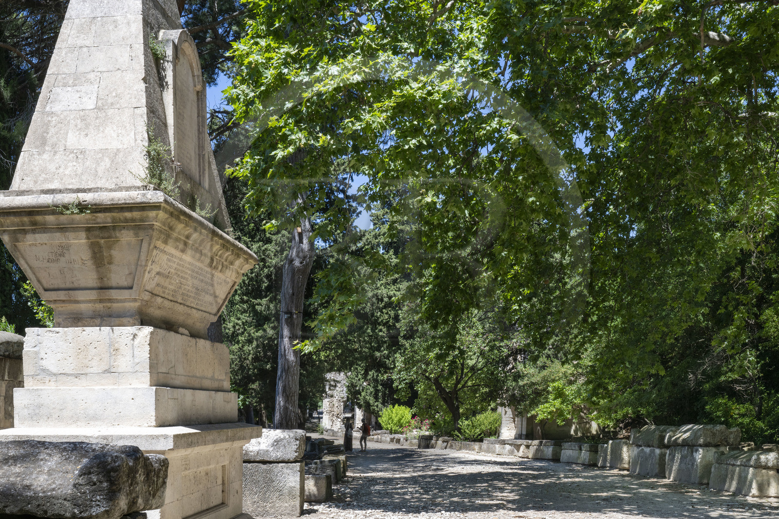 France, Bouches du Rhone, Arles, the Alyscamps, listed as World heritage by UNESCO, a pagan then Christian necropolis from the Roman era to the Middle Ages, comprising numerous sarcophagi