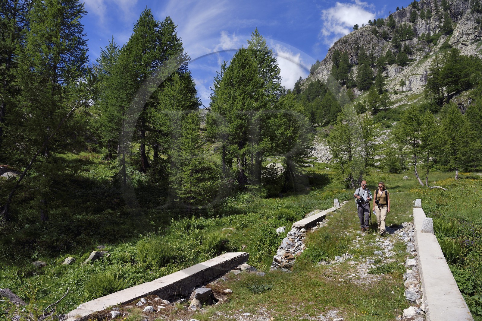 France, Alpes-Maritimes, parc national du Mercantour (Mercantour National Park), Valmasque valley, old track built by the Italians under Mussolini, bridge over the Valmasque torrent