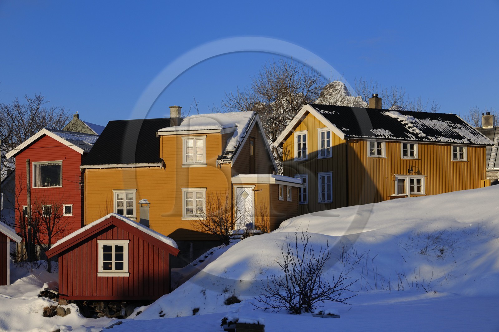 Norvège, Nordland, Îles Lofoten, le port de Svolvaer, maisons en bois