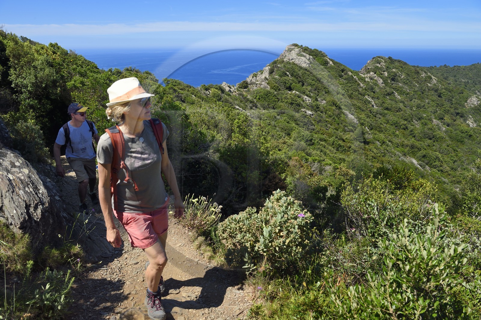 France, Var (83), Six-Fours-les-Plages, randonnée dans le massif du Cap Sicié, randonneurs sur le sentier des cretes de Roumagnan