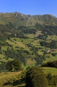 France, Cantal (15), monts du Cantal, Parc Naturel Régional des Volcans d' Auvergne, la vallée de la Jordanne vers Mandaille-Saint-Julien