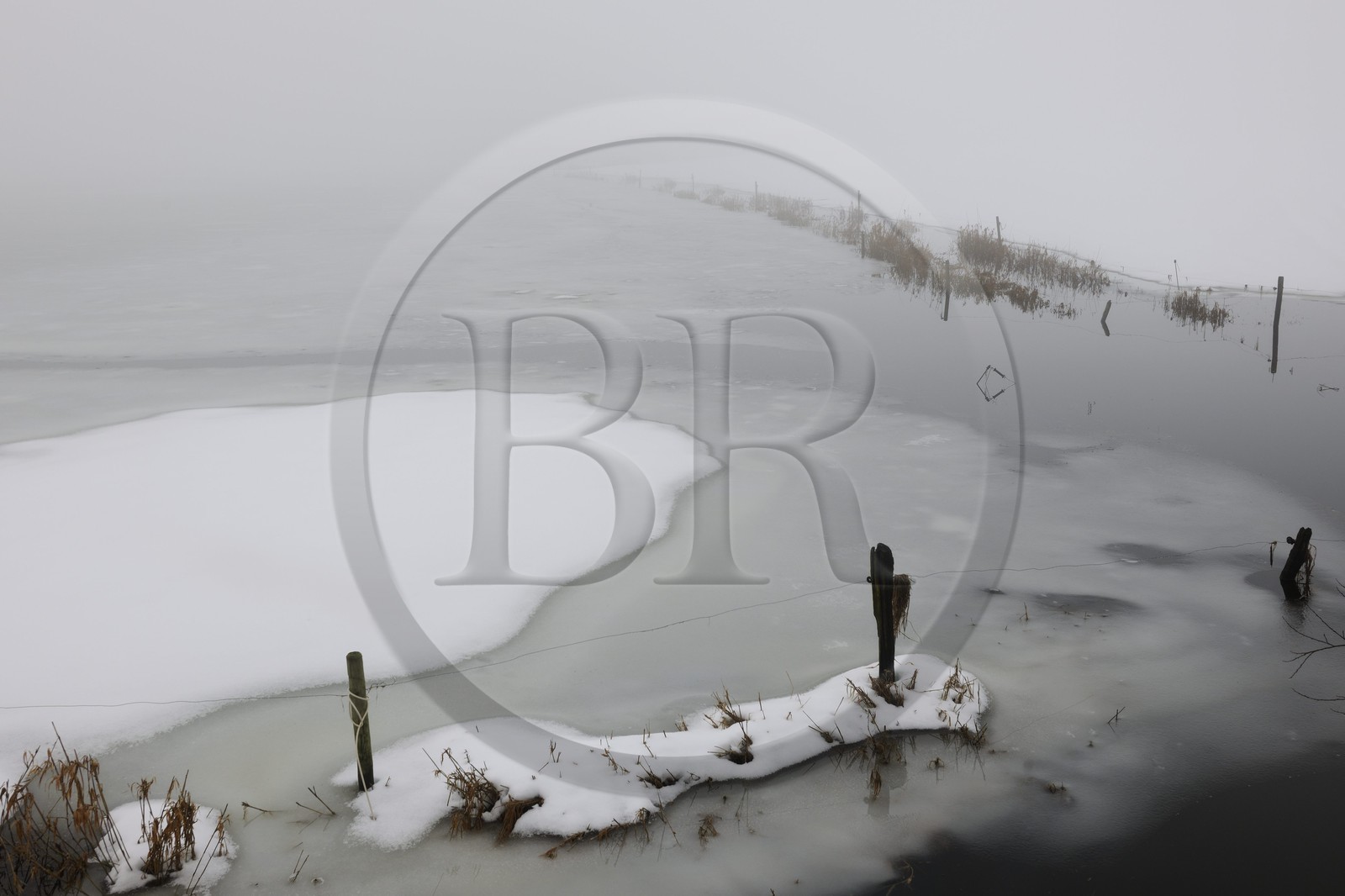 France, Manche, Cotentin, marshes of la Douve towards Liesville sur Douve