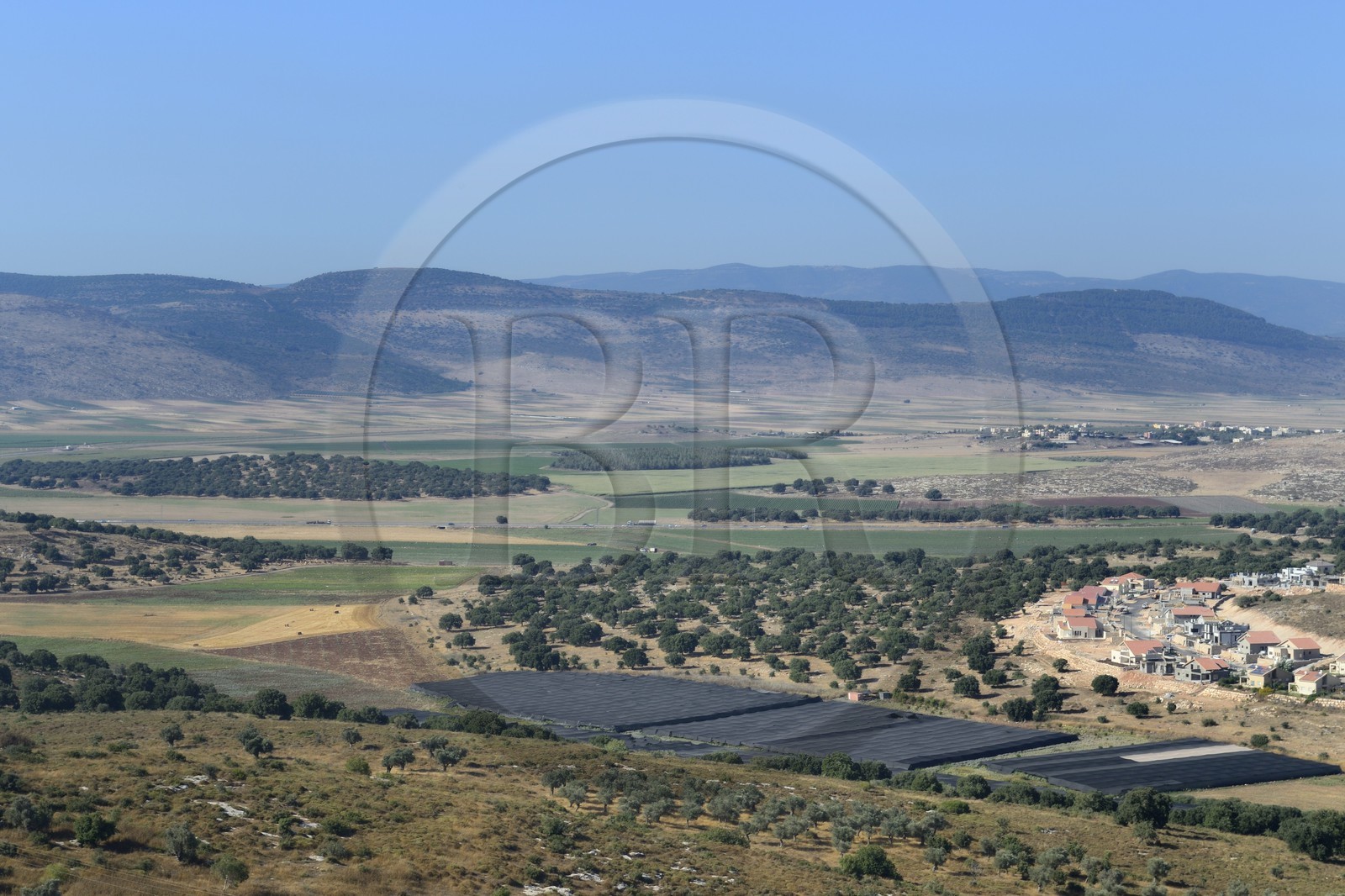 Israel, Northern District, Galilee, Jezreel Valley near Nazareth, Hosha'Aya Kibbutz