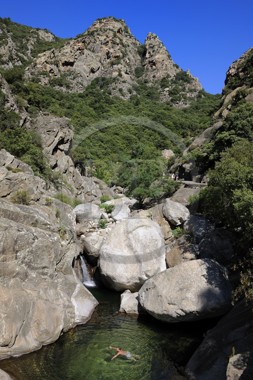 France, Hérault (34), Mons la Trivalle,  les gorges d'Héric dans le massif du Caroux au cœur du Parc naturel régional du Haut-Languedoc