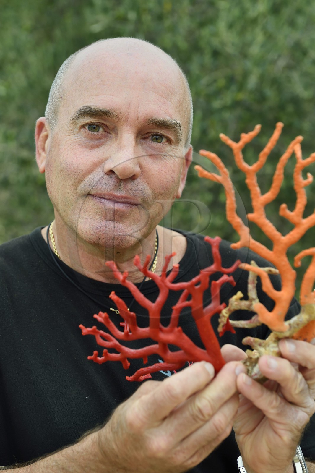 France, Corse-du-Sud (2A), Bonifacio, Ville Haute, Corail rouge de Méditerranée, le corailleur Jean-Philippe Giordano