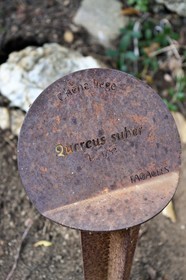 France, Var (83), Rayol-Canadel-sur-Mer, Domaine du Rayol, propriété du conservatoire du littoral mention obligatoire, le jardin des Méditerranées conçu par le paysagiste Gilles Clément, panneau explicatif