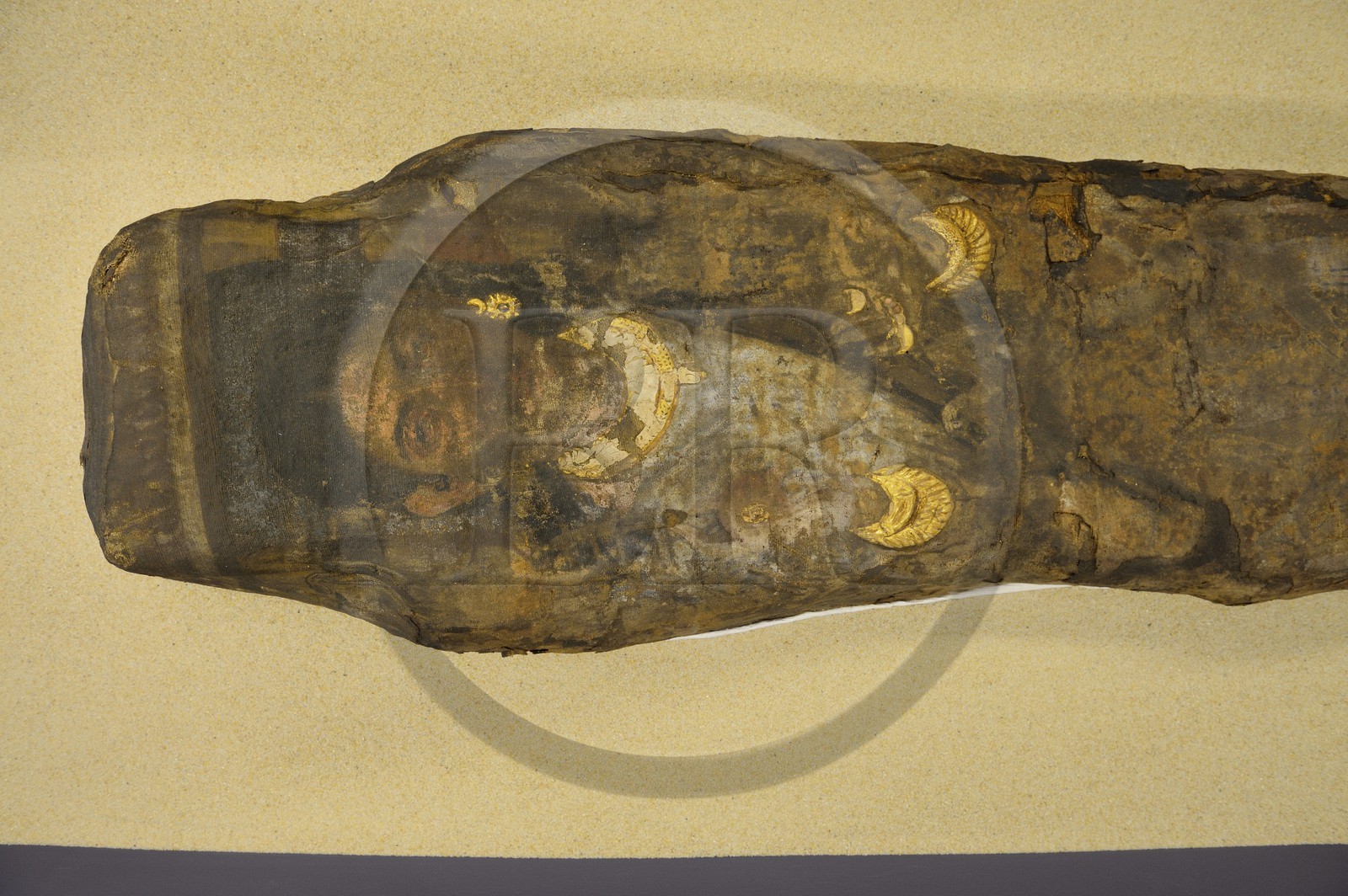 France, Ille-et-Vilaine (35), Rennes, musée des beaux-arts (MBAR), antiquités egyptiennes, la Dame d'Antinoé, momie de femme du troisième à quatrième siècle