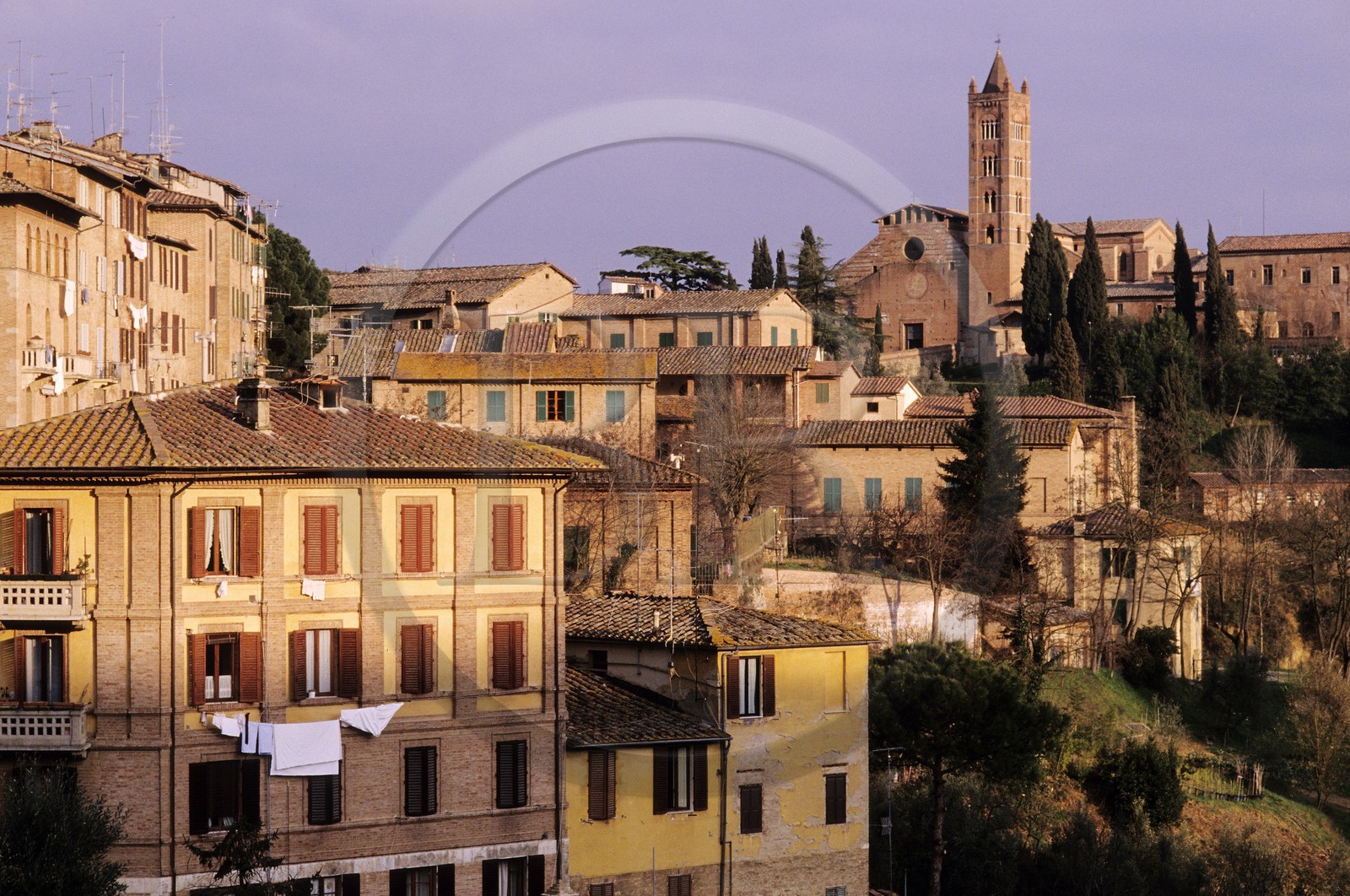 Italie, Toscane, Sienne, Santa Maria dei Servi