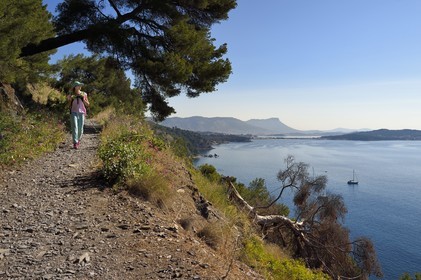 France, Var (83), La Seyne-sur-Mer, randonnée dans le massif du Cap Sicié le long du chemin du Joncquet en contrebas de la Corniche Merveilleuse,