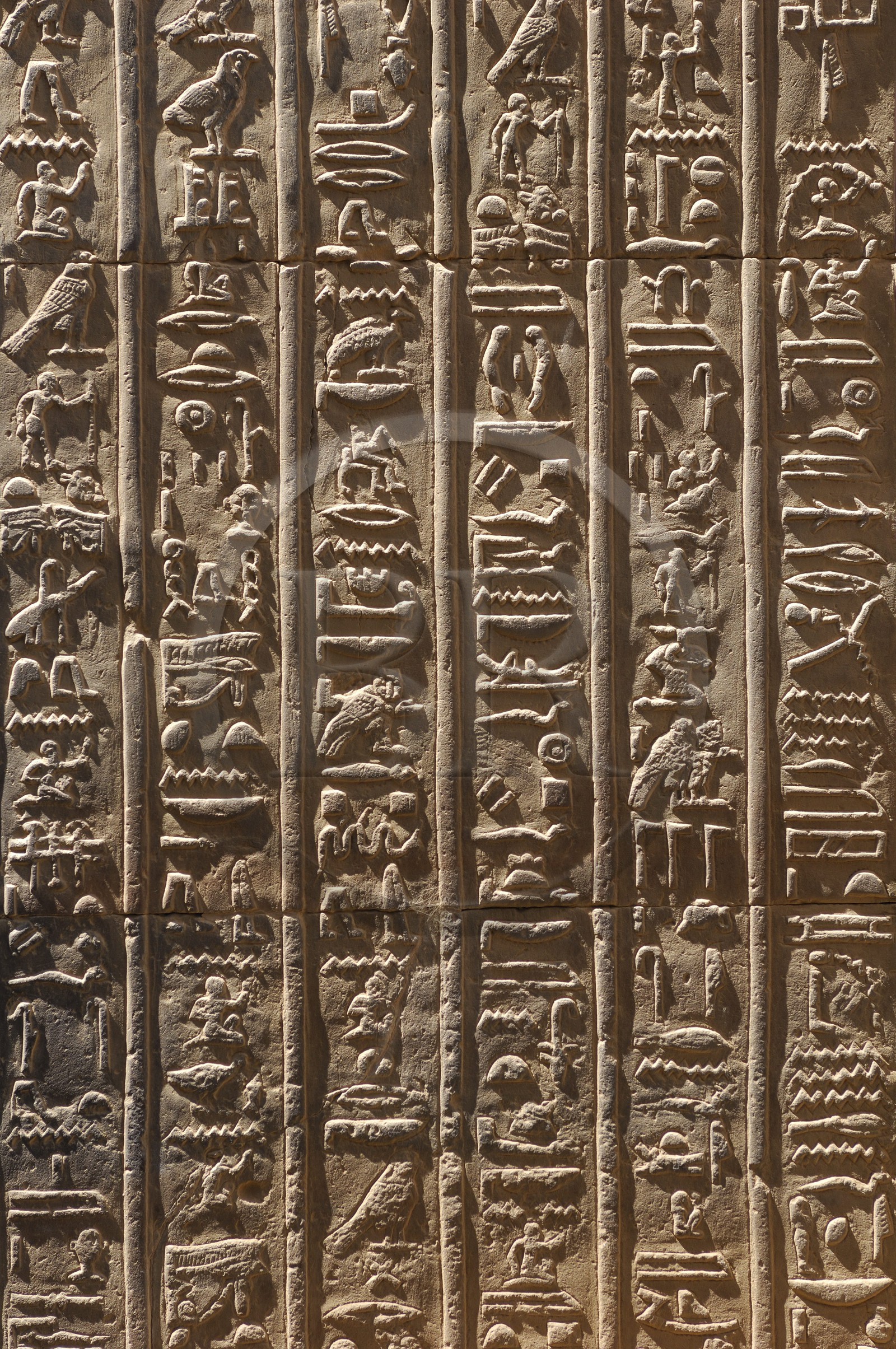 Egypte, Haute Egypte, vallée du Nil, temple de Kom Ombo dédié au dieu Sobek à tête de crocodile, hiéroglyphes