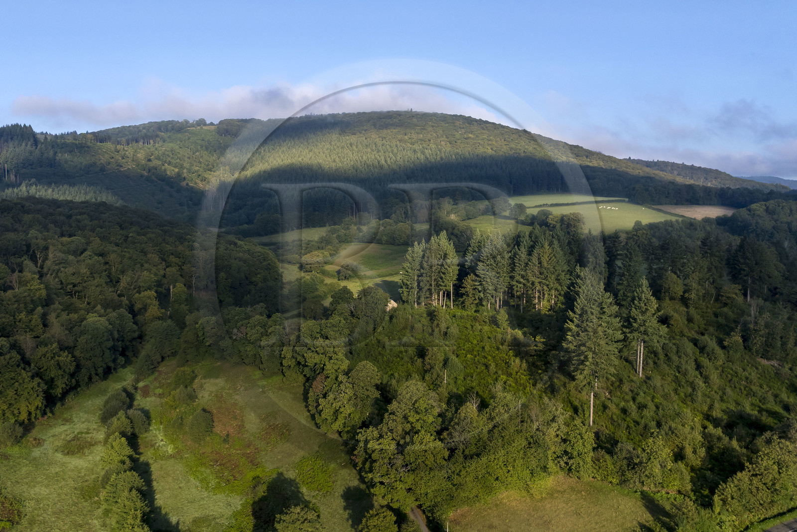 France, Saône-et-Loire (71), parc naturel régional du Morvan, Saint-Léger-sous-Beuvray, le mont Beuvray sur lequel se trouve l'oppidum de Bibracte, capitale du peuple celte des Éduens (vue aérienne)
