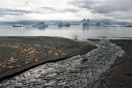 Groenland, cote ouest, Ile de Disko, baie du village de Qeqertarsuaq, icebergs dans la brume