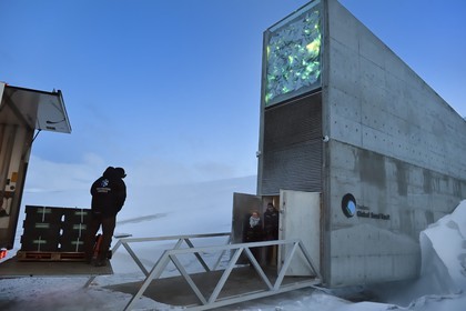 Norvège, Svalbard, Spitzberg, Longyearbyen, la Réserve mondiale de semences du Svalbard (banque de graines du Global Seed Vault) permet une sauvegarde de sécurité pour les collections existantes de banques de gènes, livraison des semences par NordGen